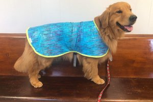Digital Holographic - PINK or Teal - Evaporative Cooling Coat -