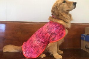 Digital Holographic - PINK or Teal - Evaporative Cooling Coat -