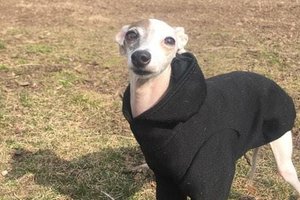 Basic black Hoodie