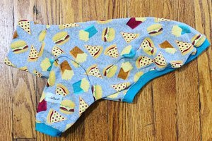 Snacks on Snacks - Lightweight Cotton Tshirt for dogs! (1-30lbs)