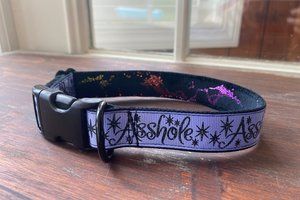 Cuss dog collar- 3 colors and styles