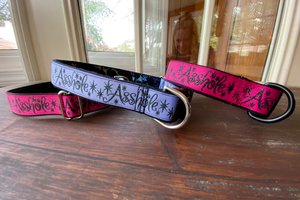 Cuss dog collar- 3 colors and styles