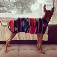 Southwest Wrap Coat - for Italian Greyhounds & Cirneco dell’Etna
