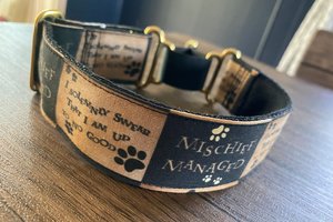 Mischief Managed Collar