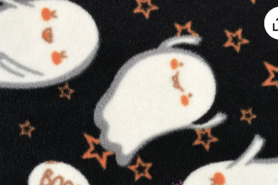 BOO! Ghosts! -Vest, 2 leg, 4 leg - Small, medium, large
