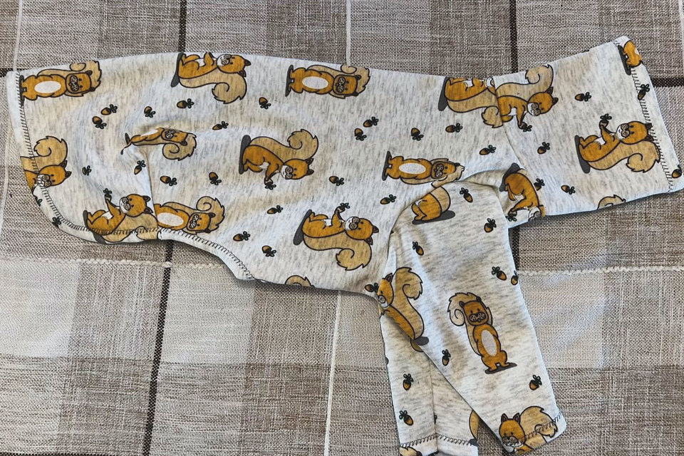 SQUIRRELS! plush fox sweaters for dogs