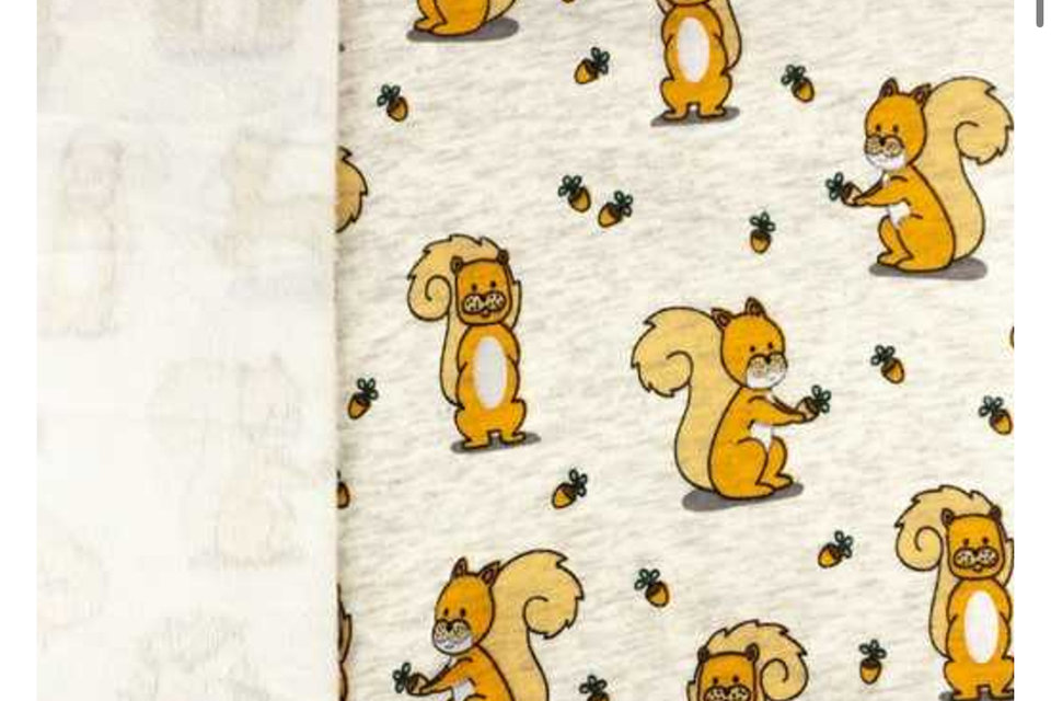 SQUIRRELS! plush fox sweaters for dogs