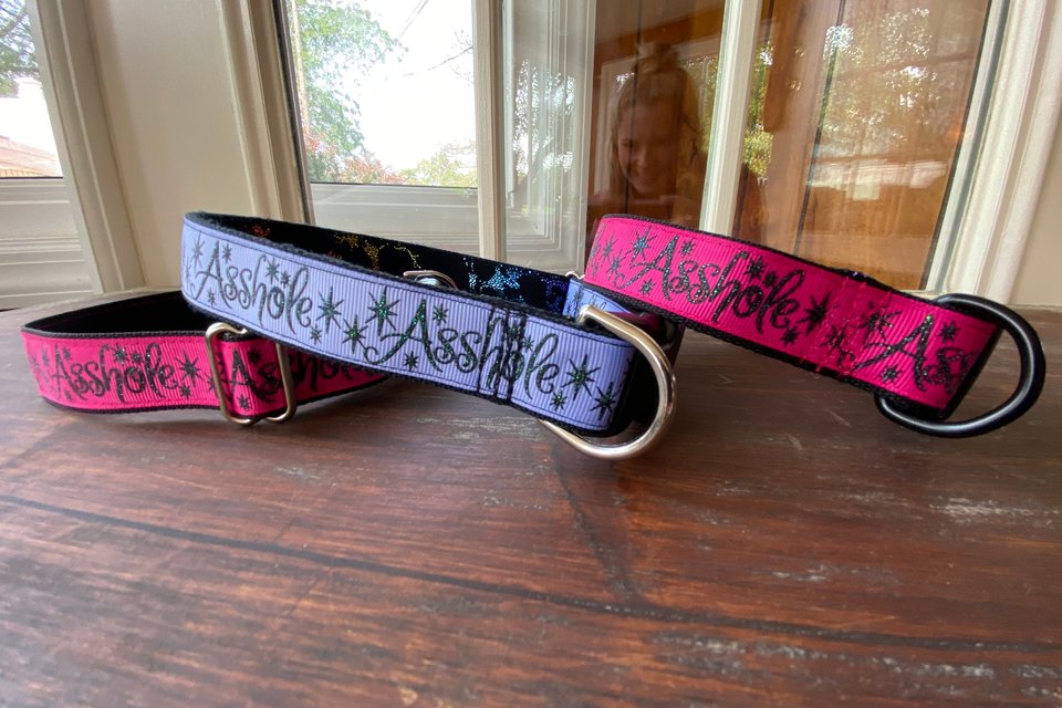 Cuss dog collar- 3 colors and styles