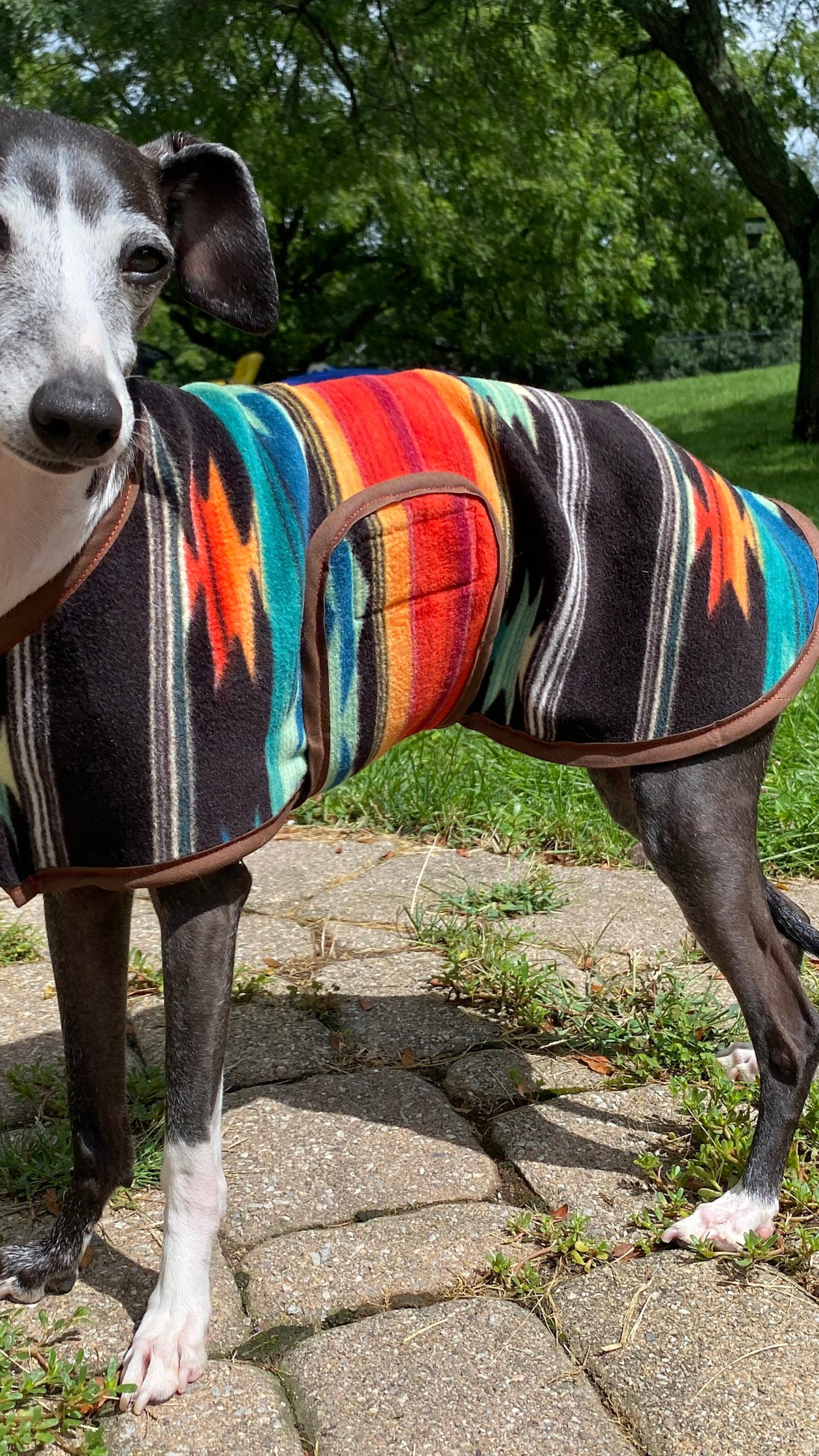 Southwest Wrap Coat - for Italian Greyhounds & Cirneco dell’Etna