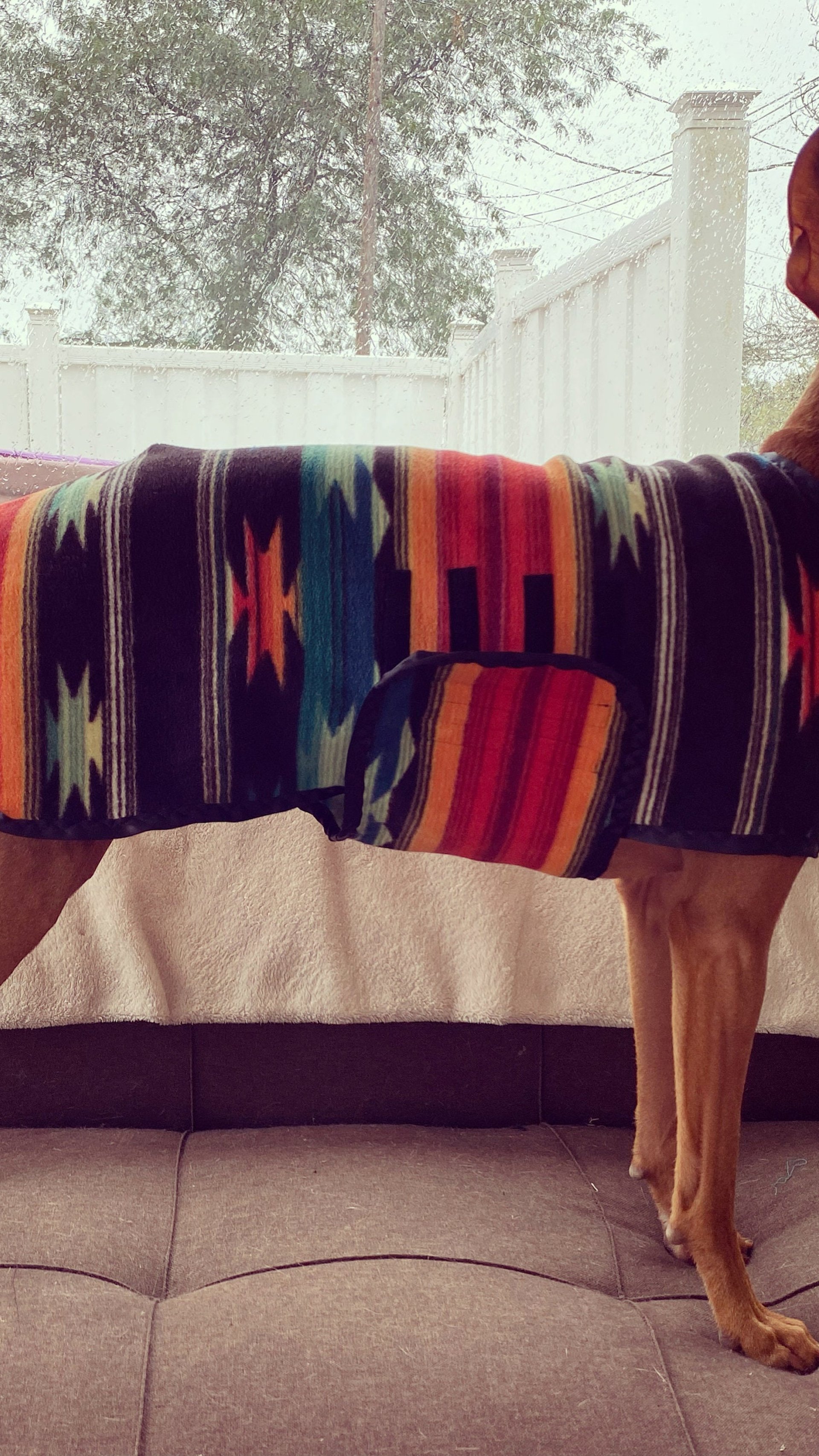 Southwest Wrap Coat - for Italian Greyhounds & Cirneco dell’Etna