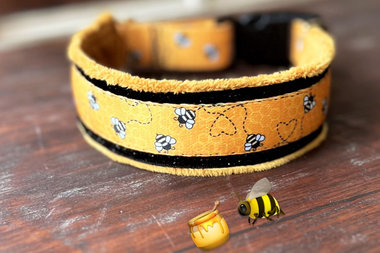 Honey Bee Collar (Martingale, Limited Slip , Flat Buckle & Combo Collar)