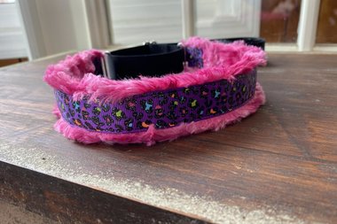 Neon Leopard Collar 4 colors and 3 styles