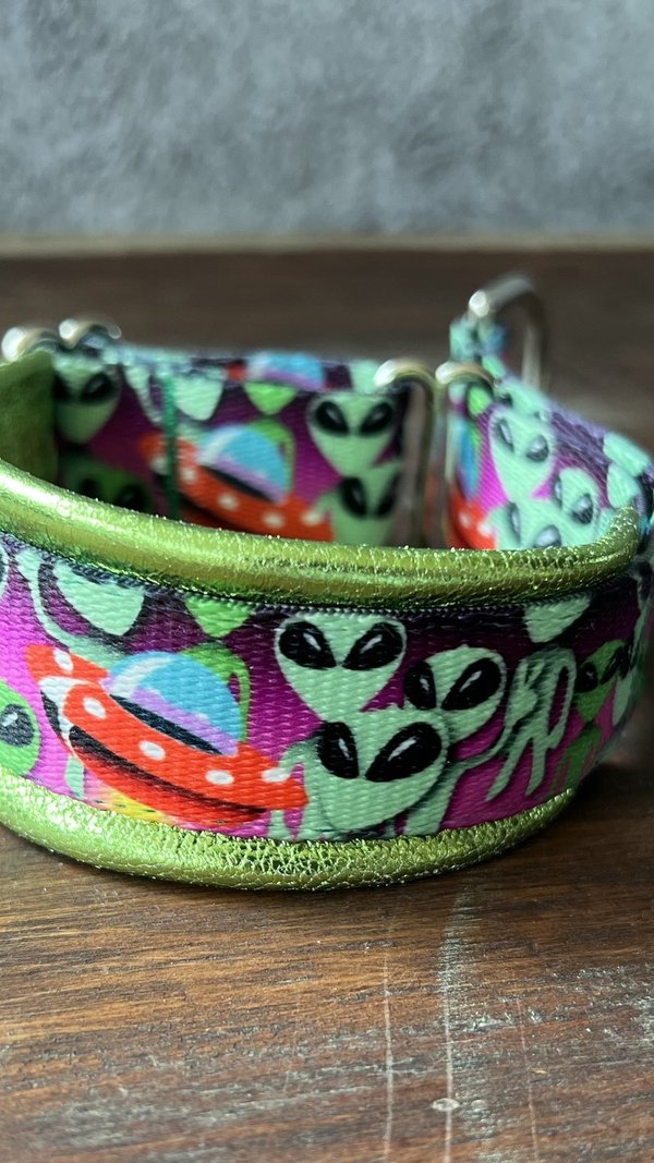 Aliens Collar with Leather Padding 