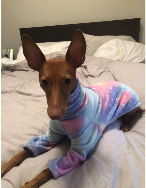 Cotton Candy Sky - FLEECE Vest // Sweater // 4 leg Pajama 