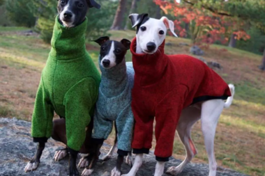 Knit "Grandpa" Sweater - Custom To Order (Dogs 1-40lbs)