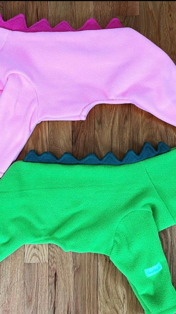 Tail of the dragon - Dragons back fleece dog pajama- 2 leg, 4 leg, vest