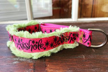 Cuss dog collar- 3 colors and styles